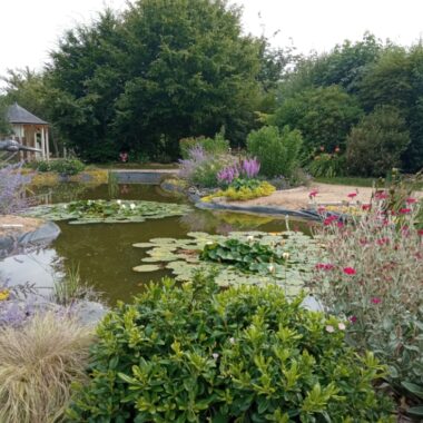 Jardin avec un lac