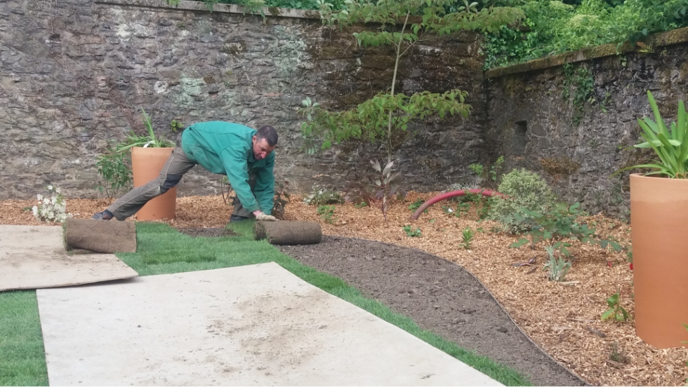 Engazonnement d'un jardin