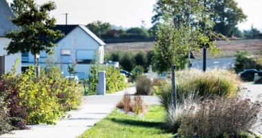 Trottoir d'une ville avec diverses plantations