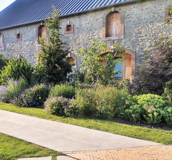 Jardin avec plantation