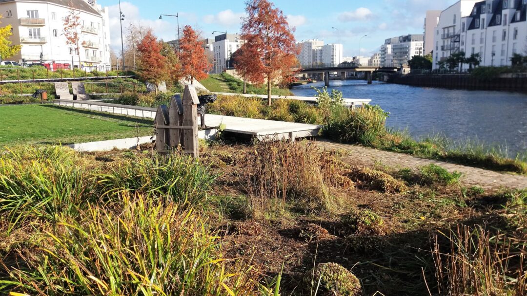 Jardin public en ville