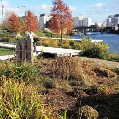 Jardin public en ville