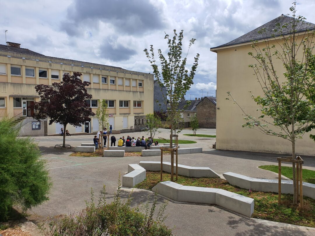 Espace vert dans une cours d'école