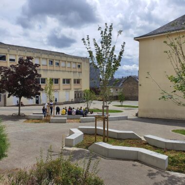 Espace vert dans une cours d'école