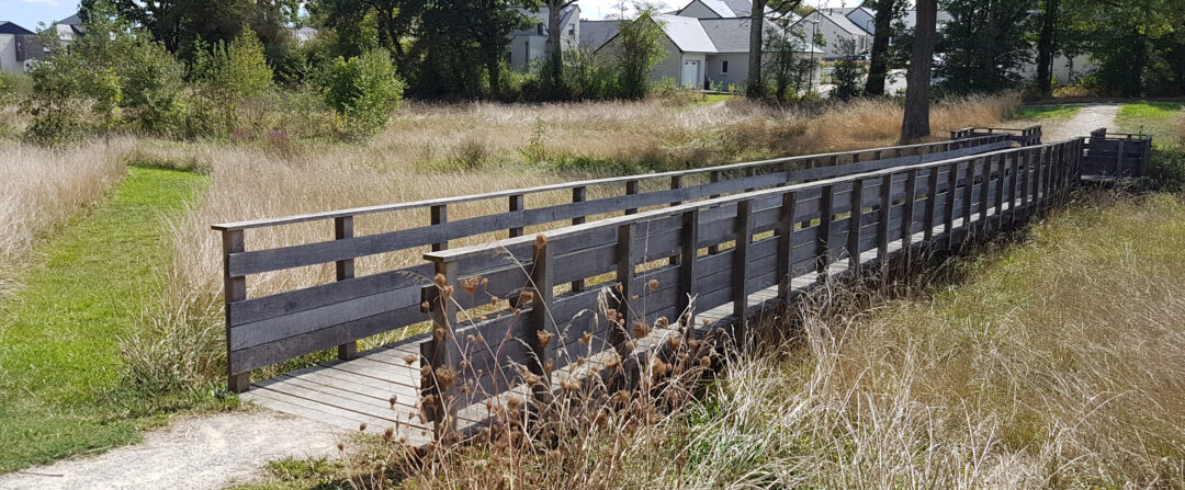 Pont en bois dans un chemin de promenade