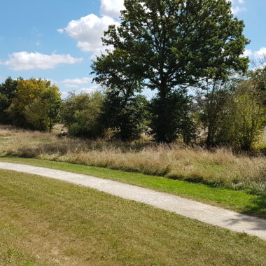 Route de promenade