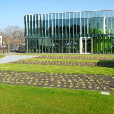 Plantations dans un jardin d'un bâtiment professionnel