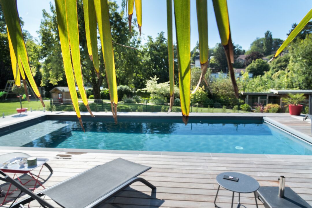 Piscine avec terrasse en bois