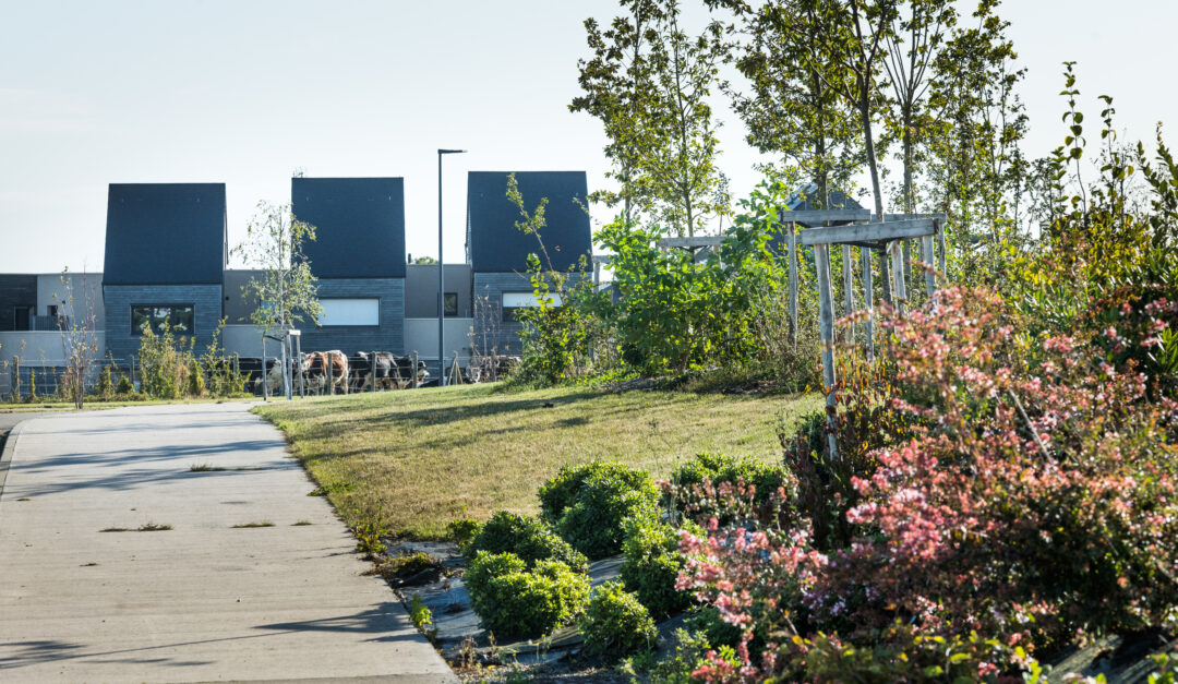 Jardin devant des habitations