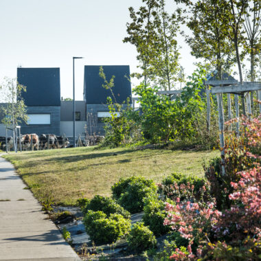 Jardin devant des habitations