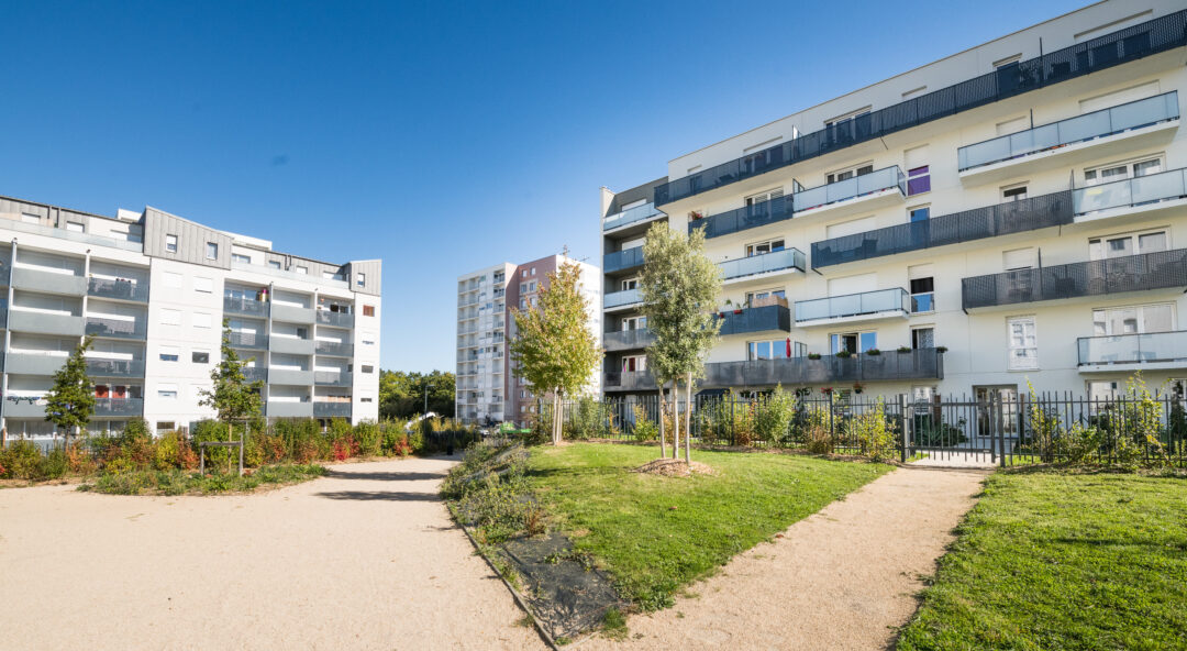 Jardin devant des habitations