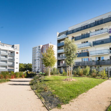 Jardin devant des habitations