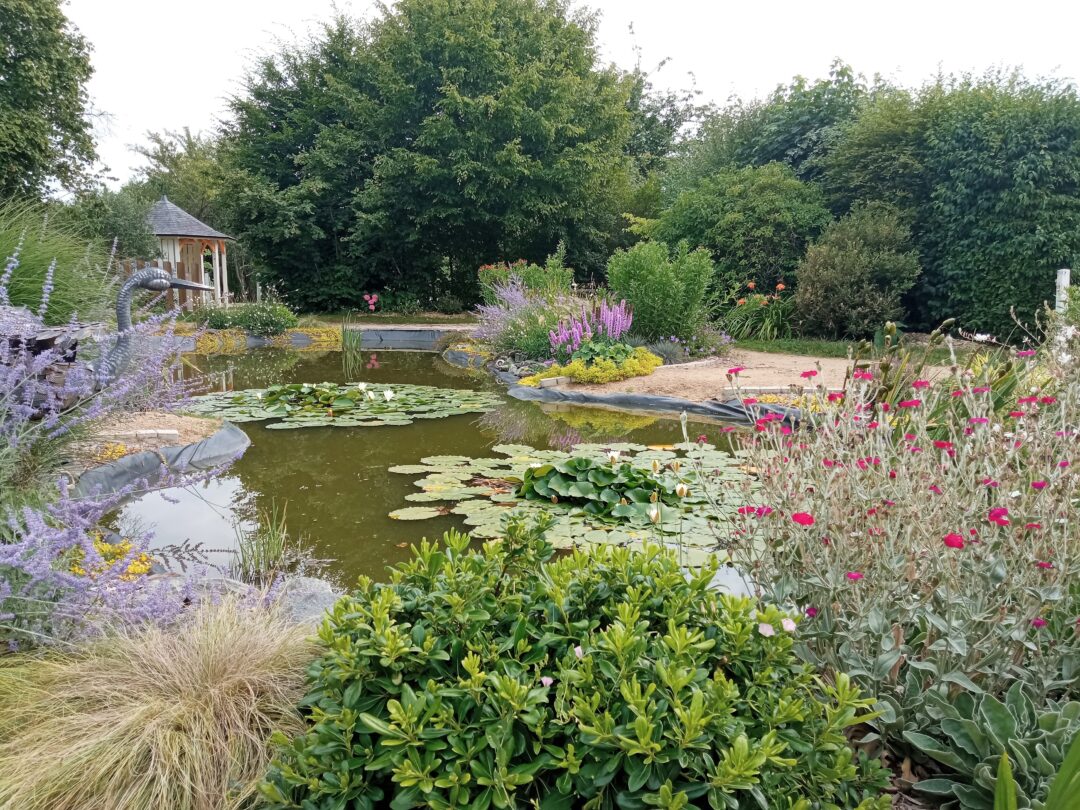 Jardin avec un lac