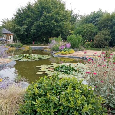 Jardin avec un lac