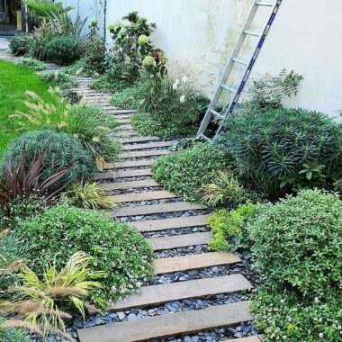 Chemin de jardin avec des plantations