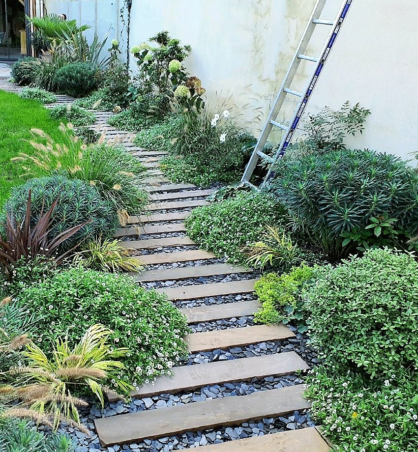 Chemin de jardin avec des plantations