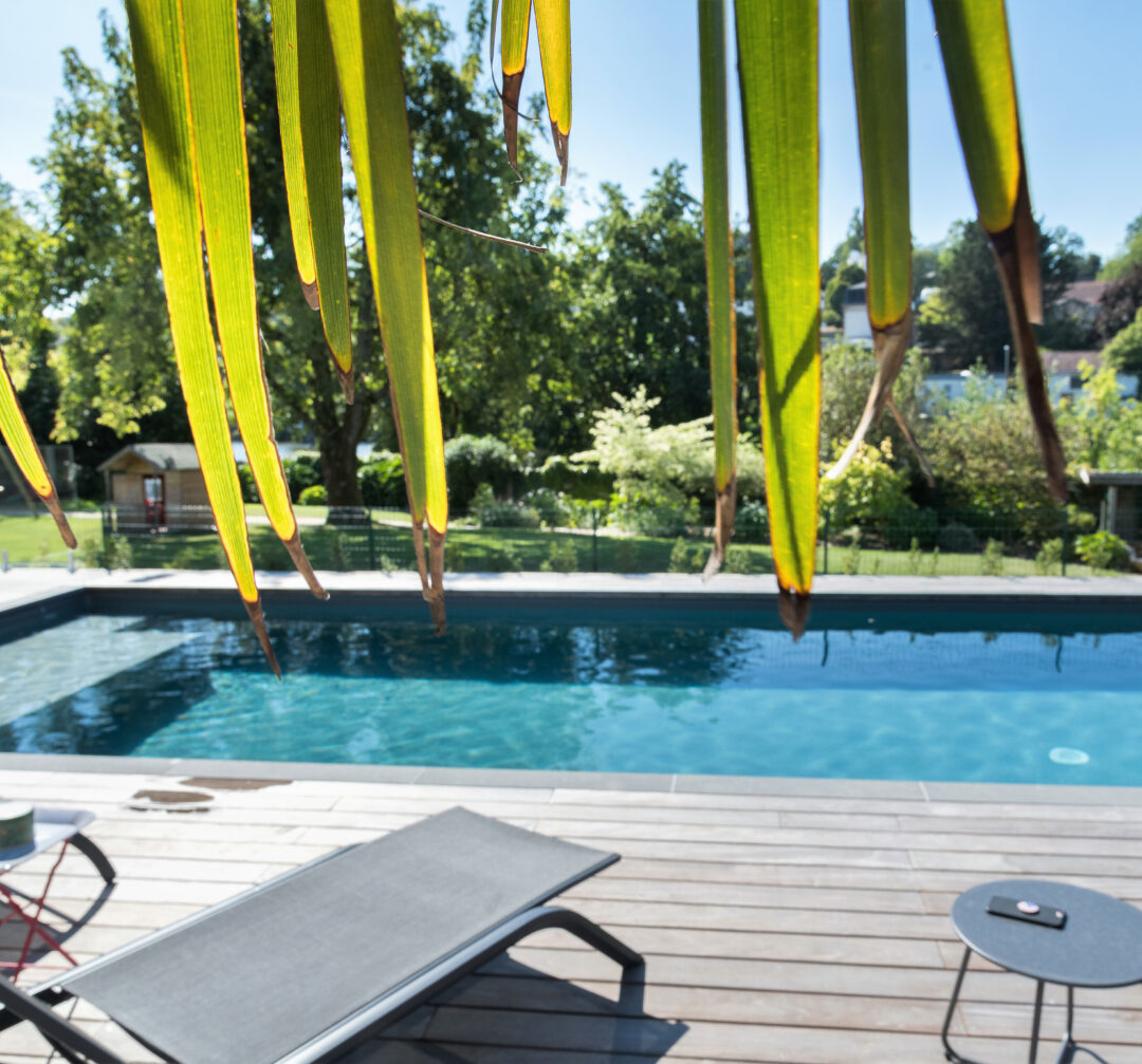 Piscine avec terrasse en bois