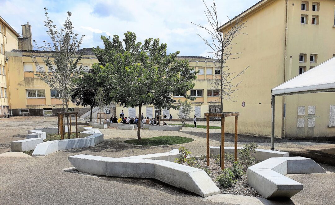 Espace vert dans une cours d'école