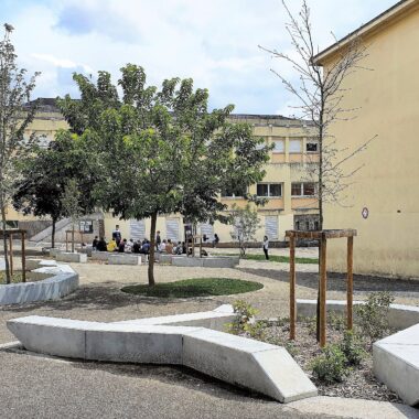 Espace vert dans une cours d'école